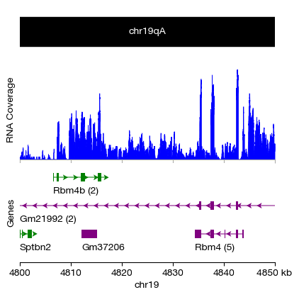 ../_images/atac_a1-genome-tracks_10_0.png