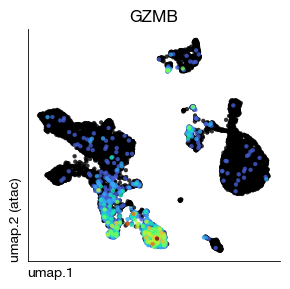 ../_images/atac_c1-single-cell-atac_44_0.png