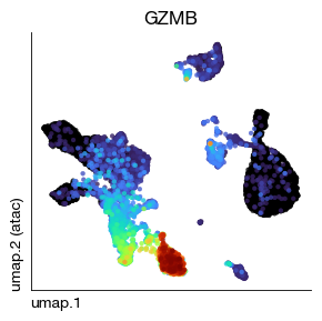 ../_images/atac_c1-single-cell-atac_47_0.png