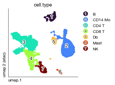 ../_images/atac_c1-single-cell-atac_70_0.png