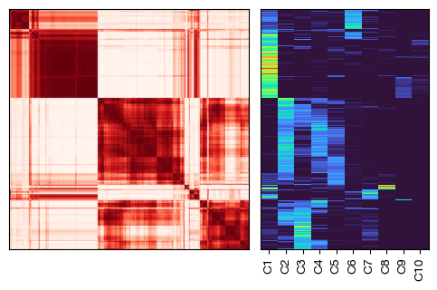 ../_images/scrna_b1-annotation_18_0.png