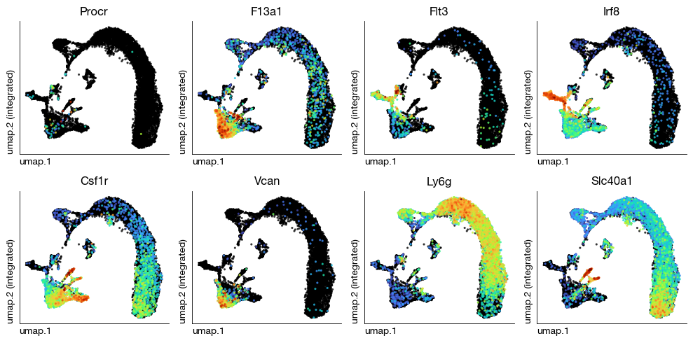../_images/scrna_b1-annotation_30_0.png