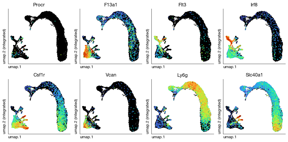 ../_images/scrna_b1-annotation_35_0.png