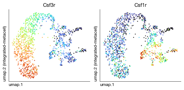 ../_images/scrna_c1-metacell_16_0.png