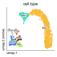 ../_images/scrna_e1-profile-cluster_7_1.png