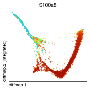 ../_images/scrna_h1-trajectory_10_0.png