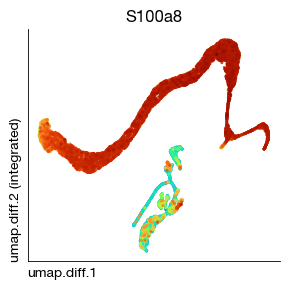 ../_images/scrna_h1-trajectory_12_0.png
