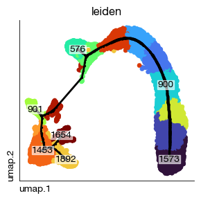../_images/scrna_h1-trajectory_17_0.png