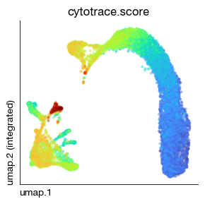 ../_images/scrna_h1-trajectory_21_0.png