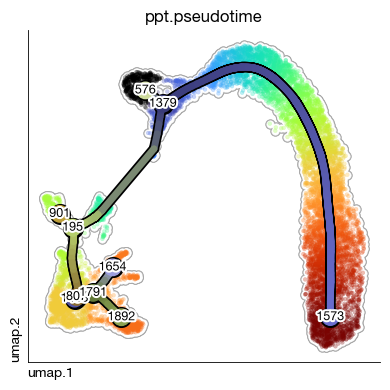 ../_images/scrna_h1-trajectory_27_0.png