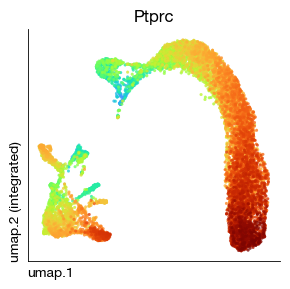 ../_images/scrna_h1-trajectory_35_0.png