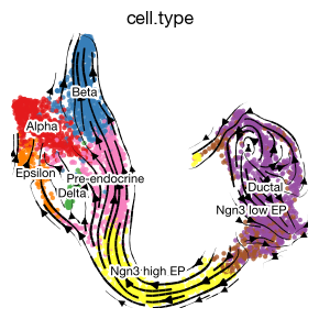 ../_images/scrna_i1-velocity_28_0.png