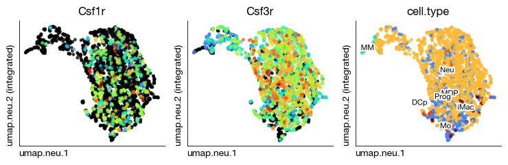../_images/scrna_j1-projection_17_0.png