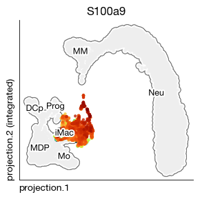 ../_images/scrna_j1-projection_18_0.png