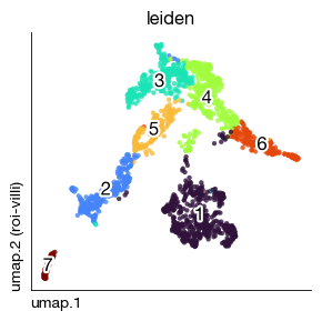 ../_images/spatial_a2-spot-based_38_0.png