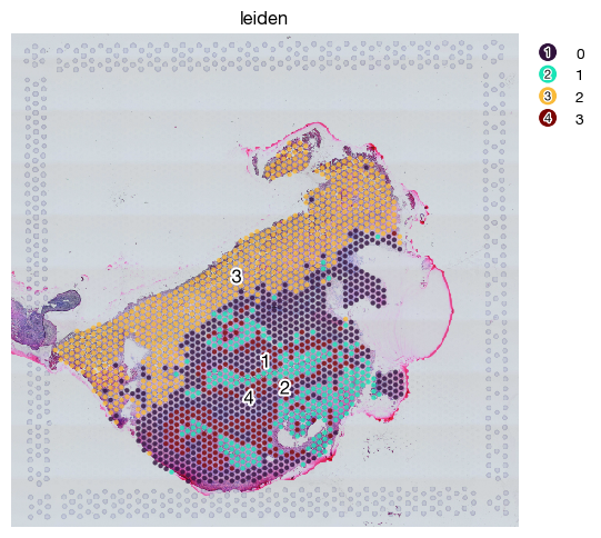 ../_images/spatial_a3-bin-based_27_0.png