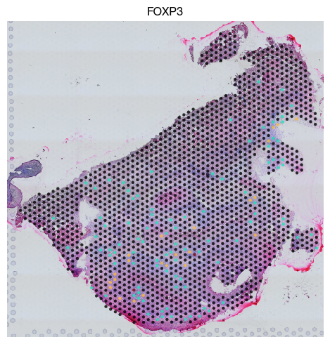../_images/spatial_a3-bin-based_8_0.png