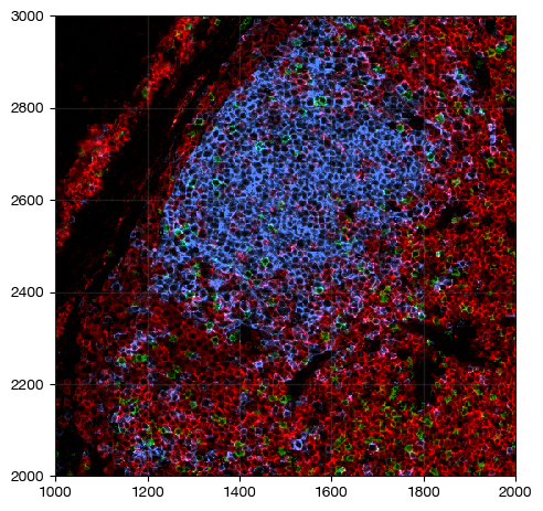 ../_images/spatial_b1-segmentation_12_0.png