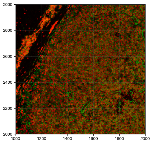 ../_images/spatial_b1-segmentation_17_0.png