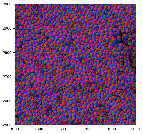 ../_images/spatial_b1-segmentation_26_0.png