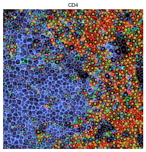 ../_images/spatial_c1-aggregate-mif_15_0.png