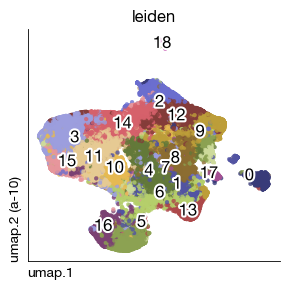 ../_images/spatial_d1-clustering-annotation_18_0.png