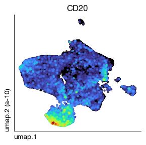 ../_images/spatial_d1-clustering-annotation_19_0.png