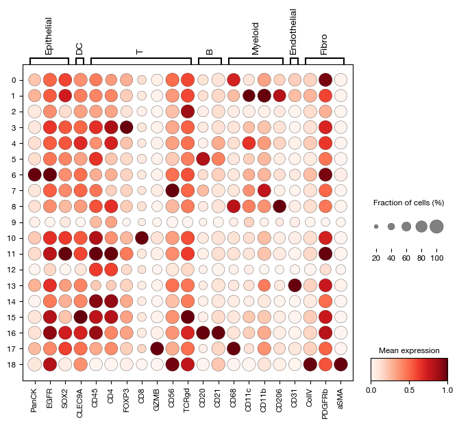 ../_images/spatial_d1-clustering-annotation_23_0.png