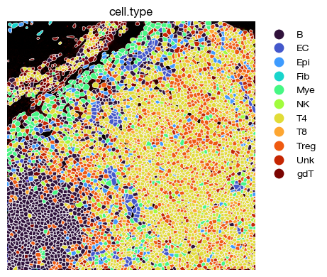 ../_images/spatial_d1-clustering-annotation_25_0.png