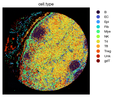../_images/spatial_d1-clustering-annotation_26_0.png