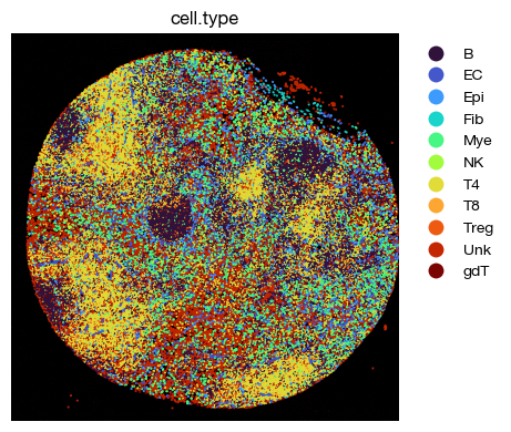 ../_images/spatial_d1-clustering-annotation_34_0.png