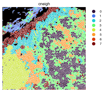 ../_images/spatial_e1-snn-cell_16_0.png