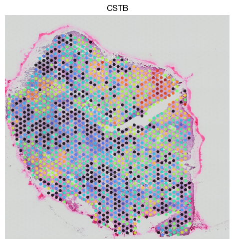 ../_images/spatial_f1-spatial-domains_13_0.png