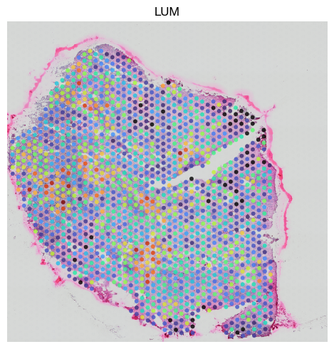 ../_images/spatial_f1-spatial-domains_38_0.png