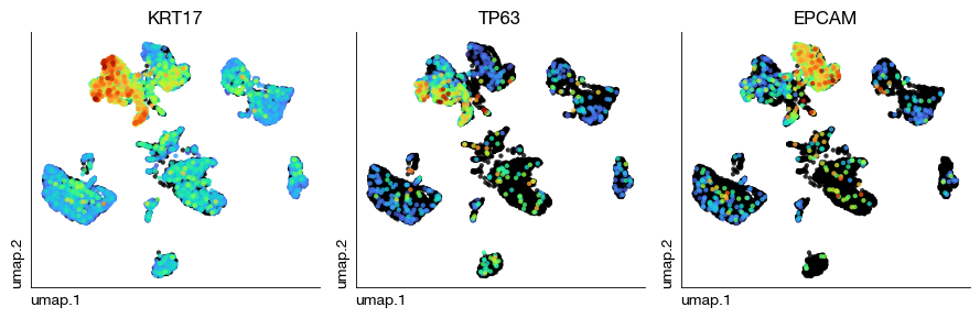 ../_images/spatial_g1-deconvolution_11_0.png