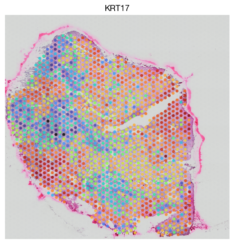 ../_images/spatial_g1-deconvolution_20_0.png