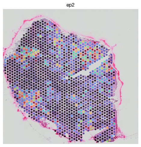 ../_images/spatial_g1-deconvolution_21_0.png