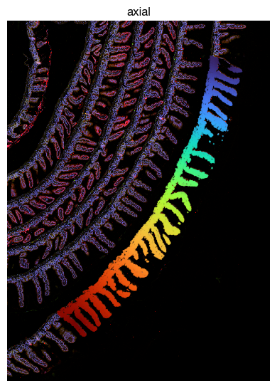 ../_images/spatial_h1-axis-and-proximity_13_0.png