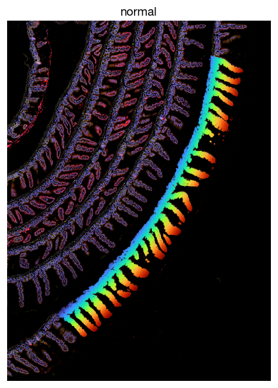 ../_images/spatial_h1-axis-and-proximity_14_0.png