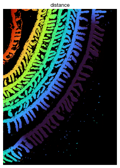 ../_images/spatial_h1-axis-and-proximity_19_0.png