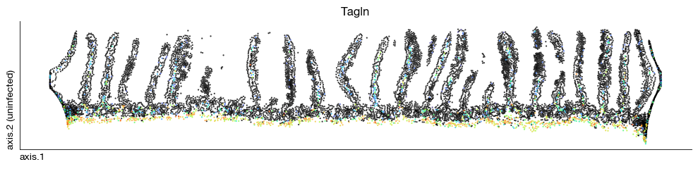 ../_images/spatial_h1-axis-and-proximity_26_0.png