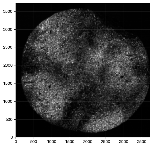 ../_images/spatial_i1-interaction_15_0.png