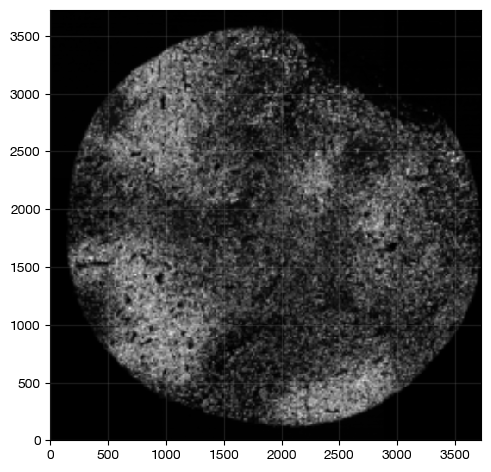 ../_images/spatial_i1-interaction_16_0.png