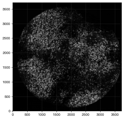 ../_images/spatial_i1-interaction_19_0.png